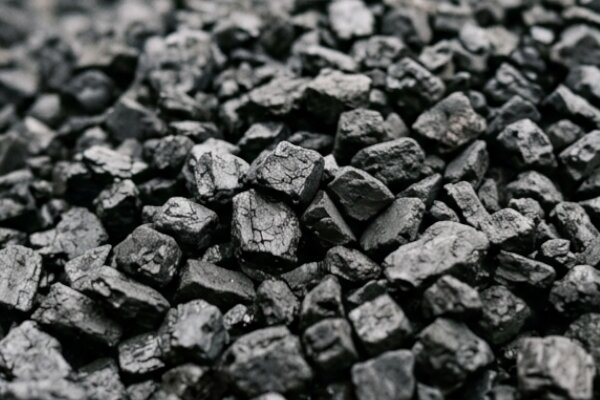 Groszek węglowy hurtowo - Agro-Sped